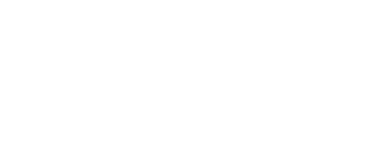 International for Social Impact Foundation